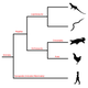 Illustration for article titled An example of biological nomenclatural confusion